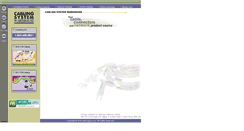 Desktop Screenshot of cablingsys.com